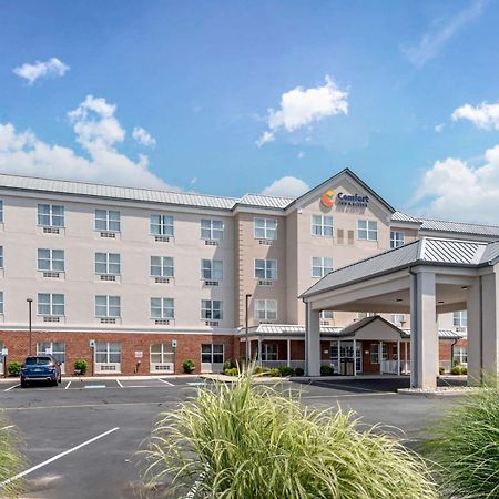 Comfort Inn & Suites Dover Exteriör bild
