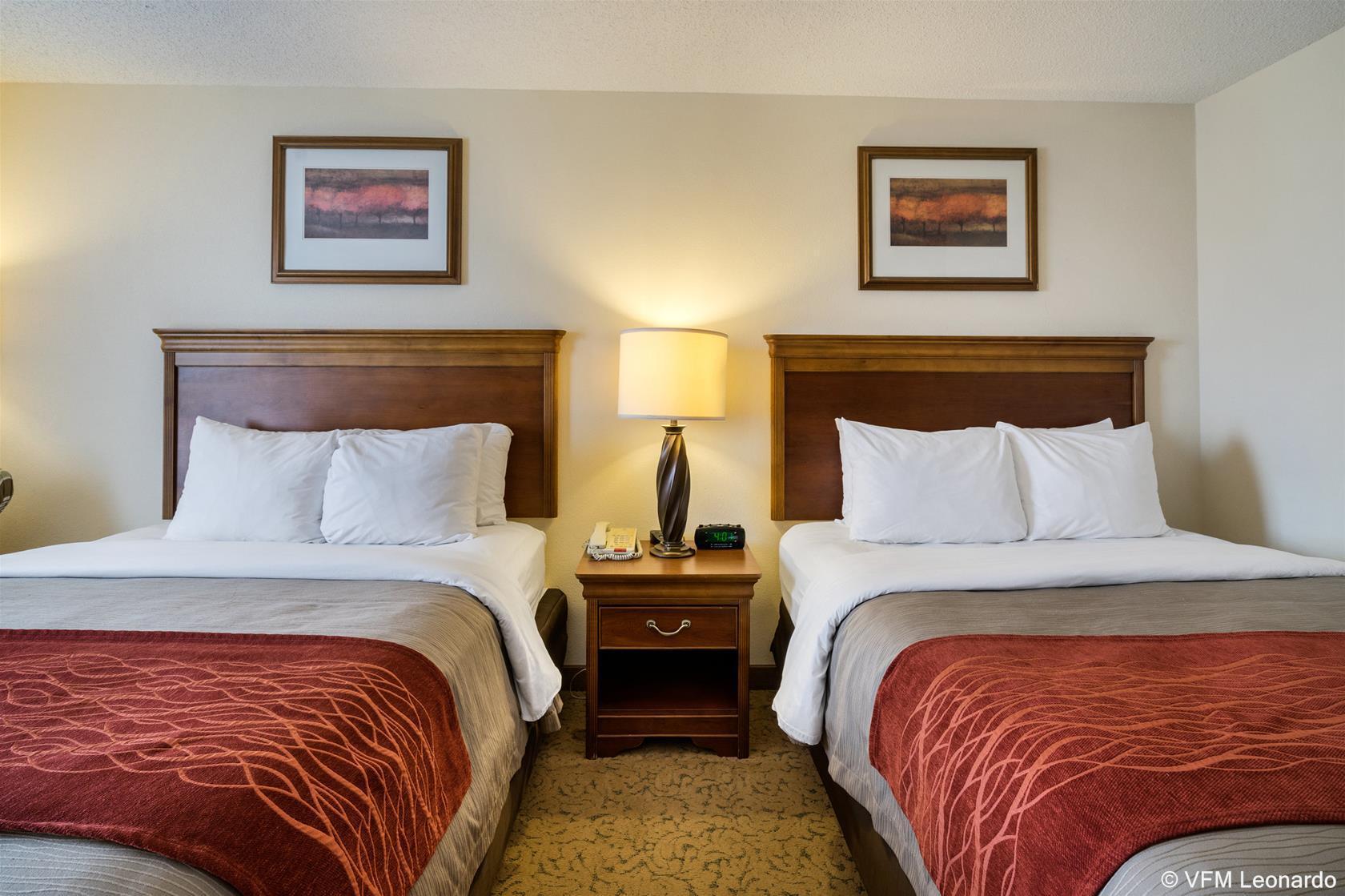 Comfort Inn & Suites Dover Exteriör bild